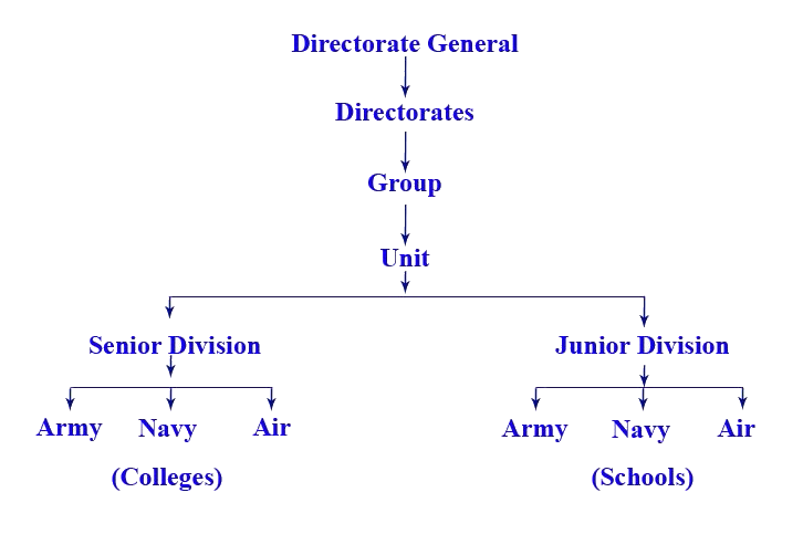 NCC Organisation Chart